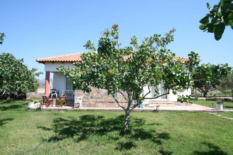 Villa Eleana Chania  Exterior foto